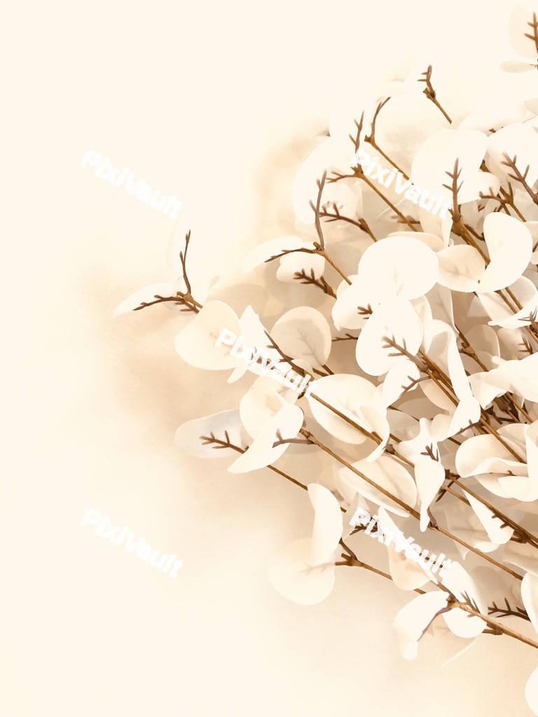 White Flowers
